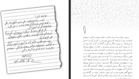 دانلود کتاب سرزمین جمیله احمد ضیا سیامک هروی pdf