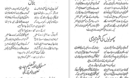 دانلود کتاب بانگ درا علامه اقبال pdf