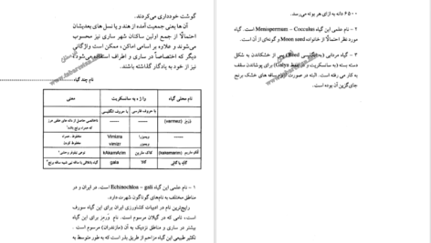 دانلود کتاب ساری و آغاز تمدن برنج درویش علی کولائیان PDF