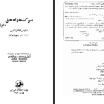 دانلود کتاب سرگشته راه حق نیکوس کازانتزاکیس pdf
