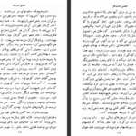 دانلود کتاب عاشق مترسک فیلیس هستینگز pdf