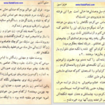 دانلود کتاب عشق آتشین عزیز نسین pdf