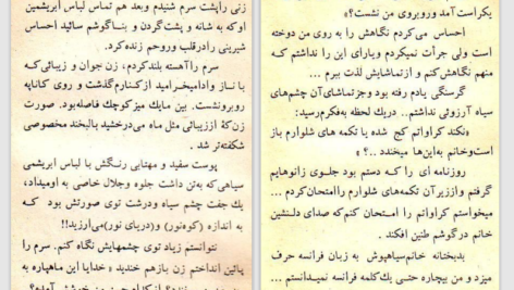 دانلود کتاب عشق آتشین عزیز نسین pdf