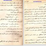 دانلود کتاب عشق آتشین عزیز نسین pdf