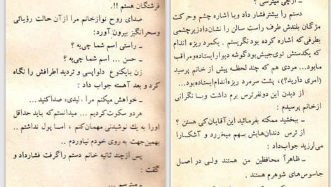دانلود کتاب عشق آتشین عزیز نسین pdf
