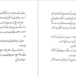 دانلود کتاب ماه در دره نیلوفر ها طاهر غزال pdf