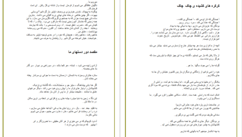 دانلود کتاب کرکره های کشیده چاک چاک رنه شار pdf
