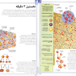دانلود کتاب فرهنگ نامه نجوم و فضا پوریا ناظمی pdf