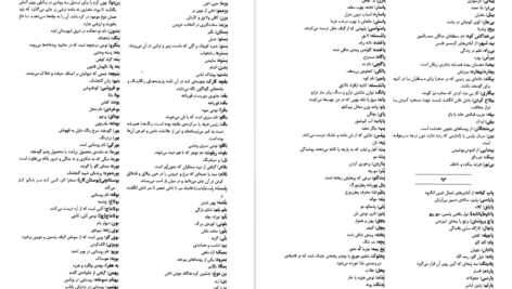 دانلود کتاب فرهنگ بزرگ ضرب المثل ‌های فارسی ۲ حسن ذوالفقاری pdf