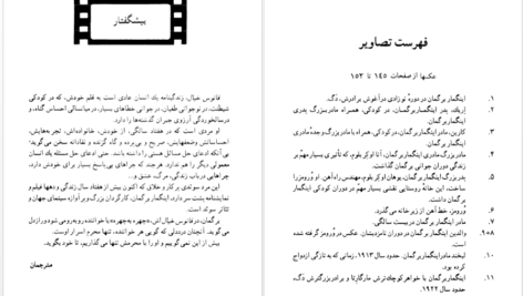 دانلود کتاب فانوس خیال اینگمار برگمان pdf