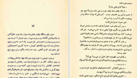 دانلود کتاب سفر محمود دولت آبادی pdf