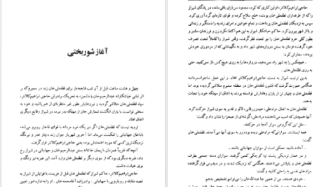 دانلود کتاب لطفعلی خان زند (شکوفه خونین شیراز) داریوش آریا pdf