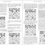 دانلود کتاب سیستم من در عمل آرون نیمزوویچ pdf