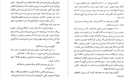 دانلود کتاب شلغم میوه بهشته علی محمد افغانی pdf