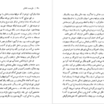 دانلود کتاب شلغم میوه بهشته علی محمد افغانی pdf
