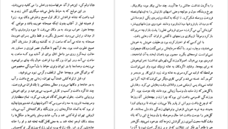 دانلود کتاب شلغم میوه بهشته علی محمد افغانی pdf