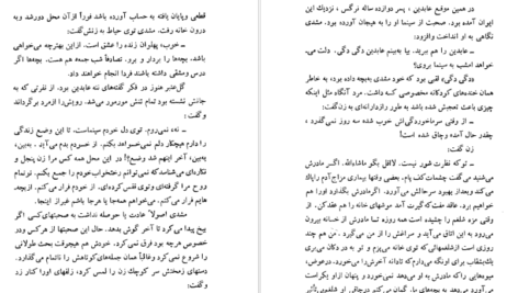 دانلود کتاب شلغم میوه بهشته علی محمد افغانی pdf