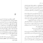 دانلود کتاب شلغم میوه بهشته علی محمد افغانی pdf