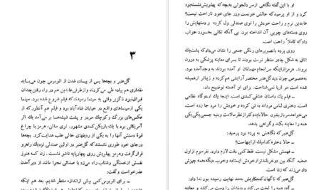 دانلود کتاب شلغم میوه بهشته علی محمد افغانی pdf