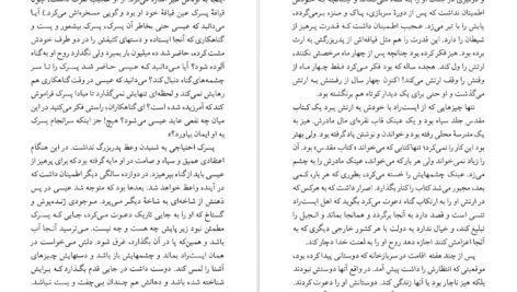 دانلود کتاب شهود فلانری اوکانر pdf