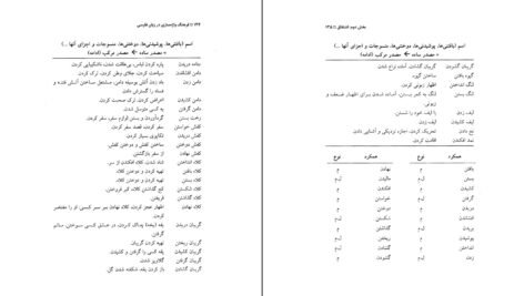 دانلود کتاب فرهنگ واژه سازی در زبان فارسی جلد هفتم کامیاب خلیلی pdf