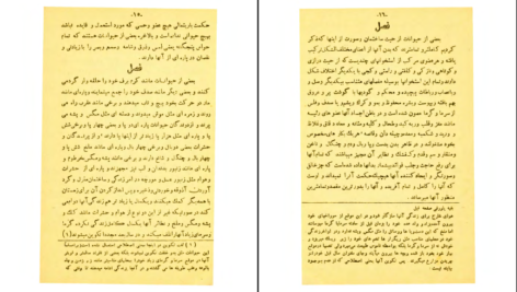 دانلود کتاب محاکمه انسان و حیوان اخوان الصفا pdf