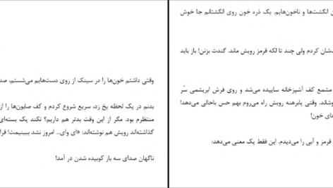 دانلود کتاب مزاحم نشو فریدا مک فادن pdf