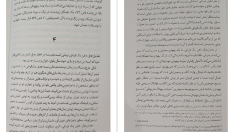 دانلود کتاب هذیان‌های ذهن یک قربانی سال بلو pdf