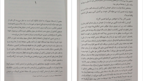 دانلود کتاب هذیان‌های ذهن یک قربانی سال بلو pdf