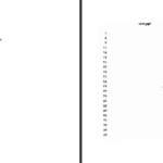 دانلود کتاب حتی وقتی می خندیم فریبا وفی pdf