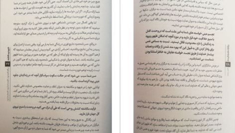 دانلود کتاب معجزه گر خاموش رضا حیات الغیب pdf