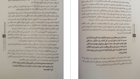 دانلود کتاب معجزه گر خاموش رضا حیات الغیب pdf