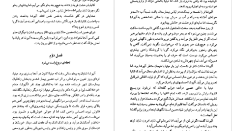 دانلود کتاب برادران کارامازوف جلد ۲ فئودور داستایفسکی pdf