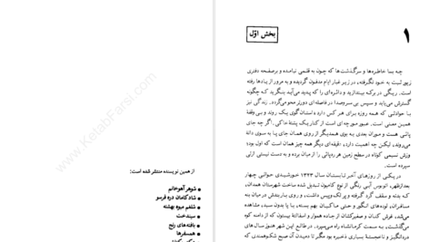 دانلود کتاب بوته زار علی محمد افغانی pdf