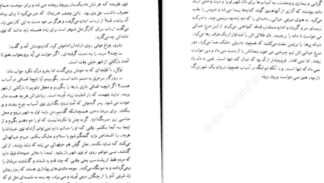 دانلود کتاب بوته زار علی محمد افغانی pdf