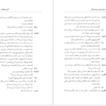 دانلود کتاب مرغ دریایی آنتوان چخوف pdf