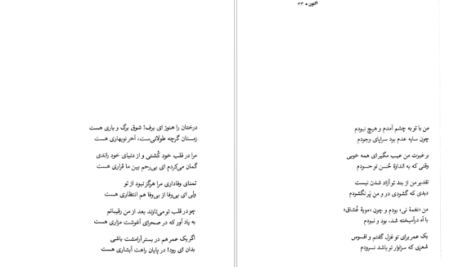 دانلود کتاب اکنون فاضل نظری pdf