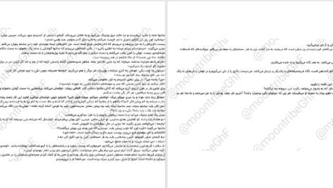 دانلود کتاب نفرت بازی سالی تورن pdf