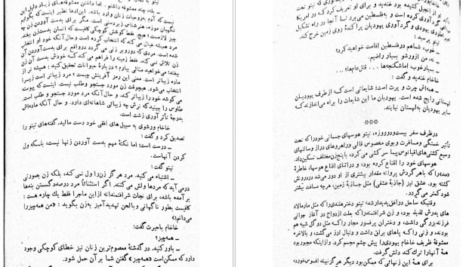 دانلود کتاب کوکائین پیتی گریلی pdf