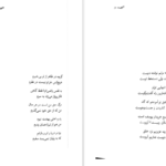 دانلود کتاب اکنون فاضل نظری pdf