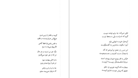 دانلود کتاب اکنون فاضل نظری pdf