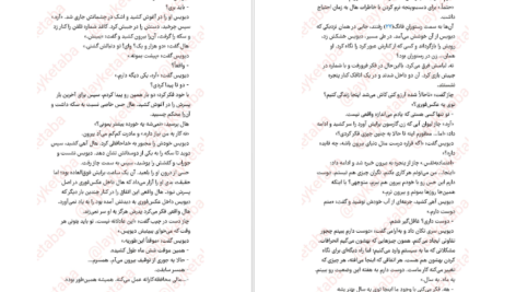 دانلود کتاب عکس فوری برندون سندرسون pdf