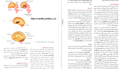دانلود کتاب نورو آناتومی بالینی اسنل راین اسپلیت گربر pdf