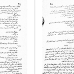 دانلود کتاب کوکائین پیتی گریلی pdf