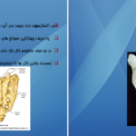 دانلود کتاب اناتومی استخوان شناسی مرتضی بهرامی نژاد pdf
