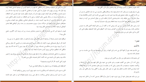 دانلود کتاب میزبان استفنی مه‌یر pdf