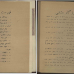 دانلود کتاب دیوان عشقی سلیمی pdf