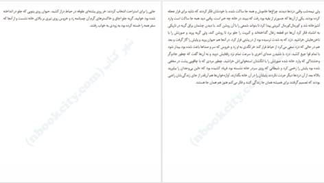 دانلود کتاب سفر به سرزمین سحر و جادو برادران گریم pdf