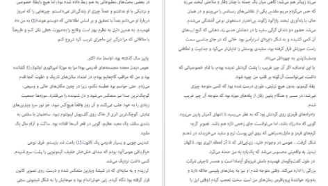 دانلود کتاب شکار و تاریکی ادوگاوا رانپو pdf