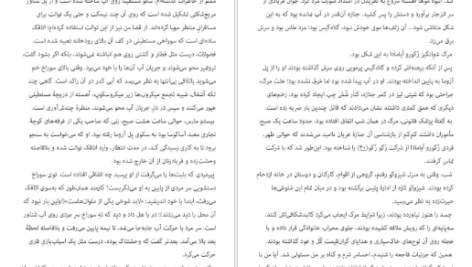 دانلود کتاب شکار و تاریکی ادوگاوا رانپو pdf